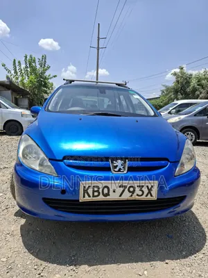 Peugeot 307 1.4 2004 Blue