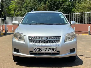 Toyota Corolla Fielder 2008 Silver