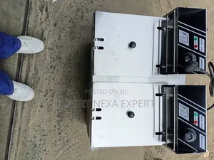 Electric Double Fryer 10L Each Tank