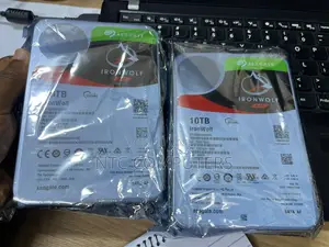 Seagate IronWolf 10TB NAS Hard Drive ST10000VN0004