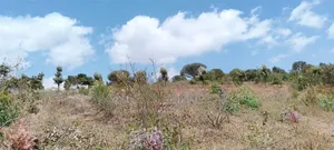 Malili AIMI MA KILUNGU , Near Kwa DC 10 Acres Connected to KAMAKU DAM
