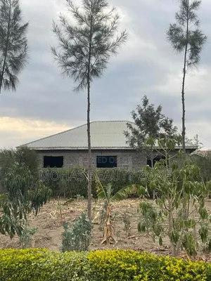 Plot for Sale Mlolongo Opposite Great Wall