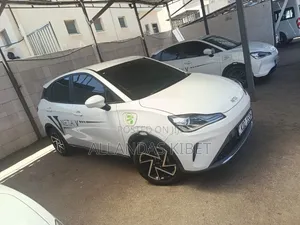 New Neta V 2024 White