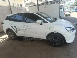 New Neta V 2024 White