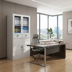 Files Storage Cabinet | Two Doors Grey Office Cabinet