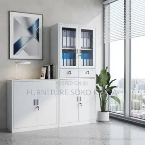 Files Storage Cabinet | Two Doors Grey Office Cabinet