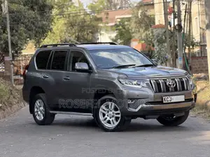Toyota Land Cruiser Prado 3.0 TD 2011 Gray