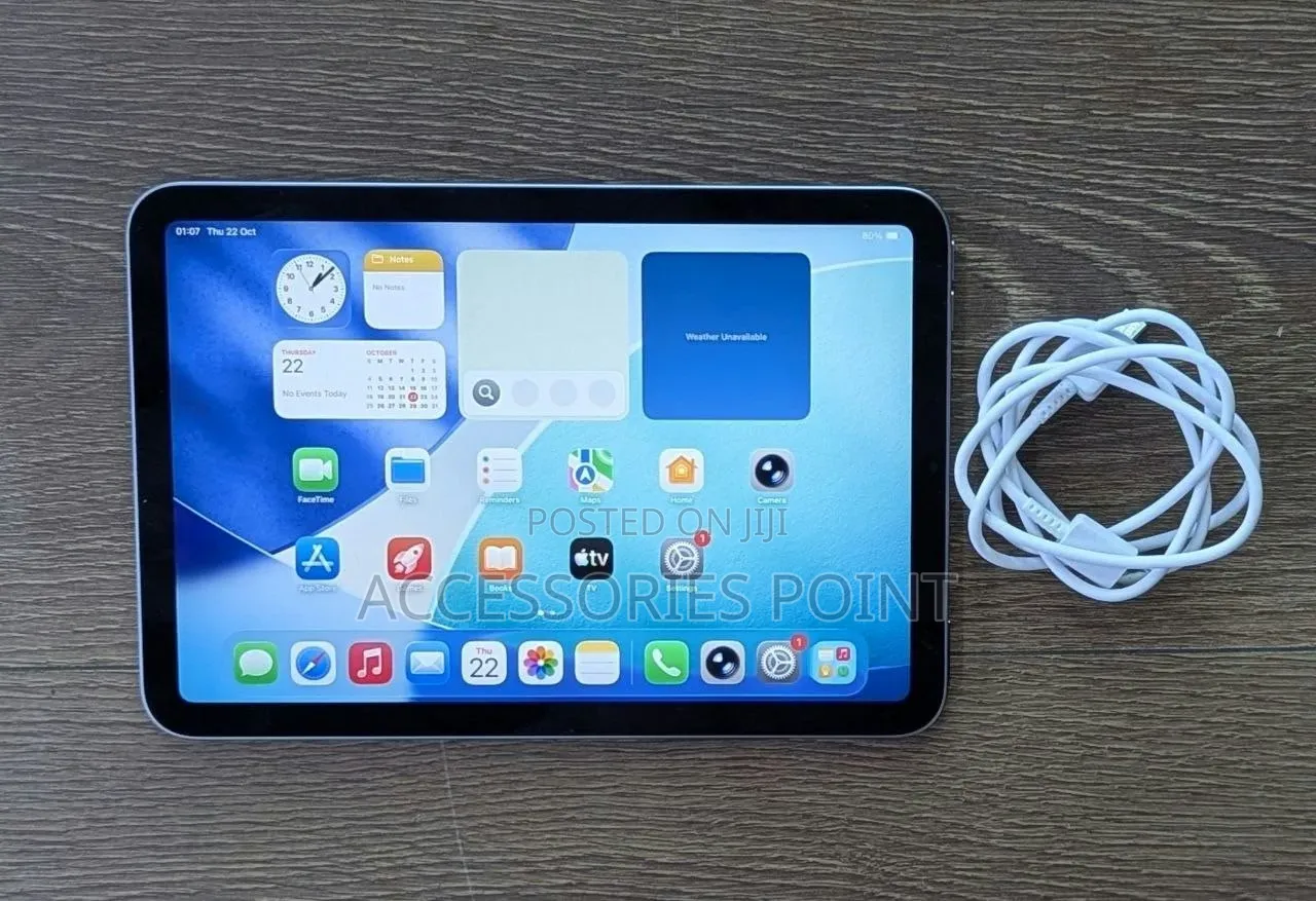 Apple iPad mini 7 256 GB Gray