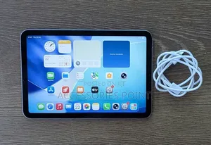 Apple iPad mini 7 256 GB Gray