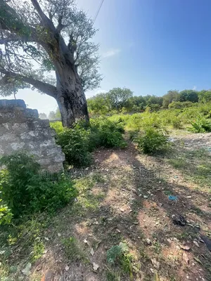 1 Acre (3rd Row ) in BOFA - Kilifi