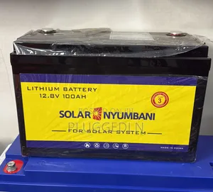 12.8V 100Ah LiFePO4 Lithium Battery