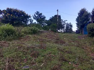 Two Plots Neighbouring Each Other on a 0.03ha in Kisumu Riat for Sale