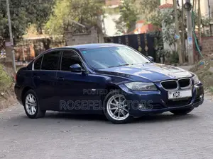 BMW 320i Sedan RWD 2011 Blue