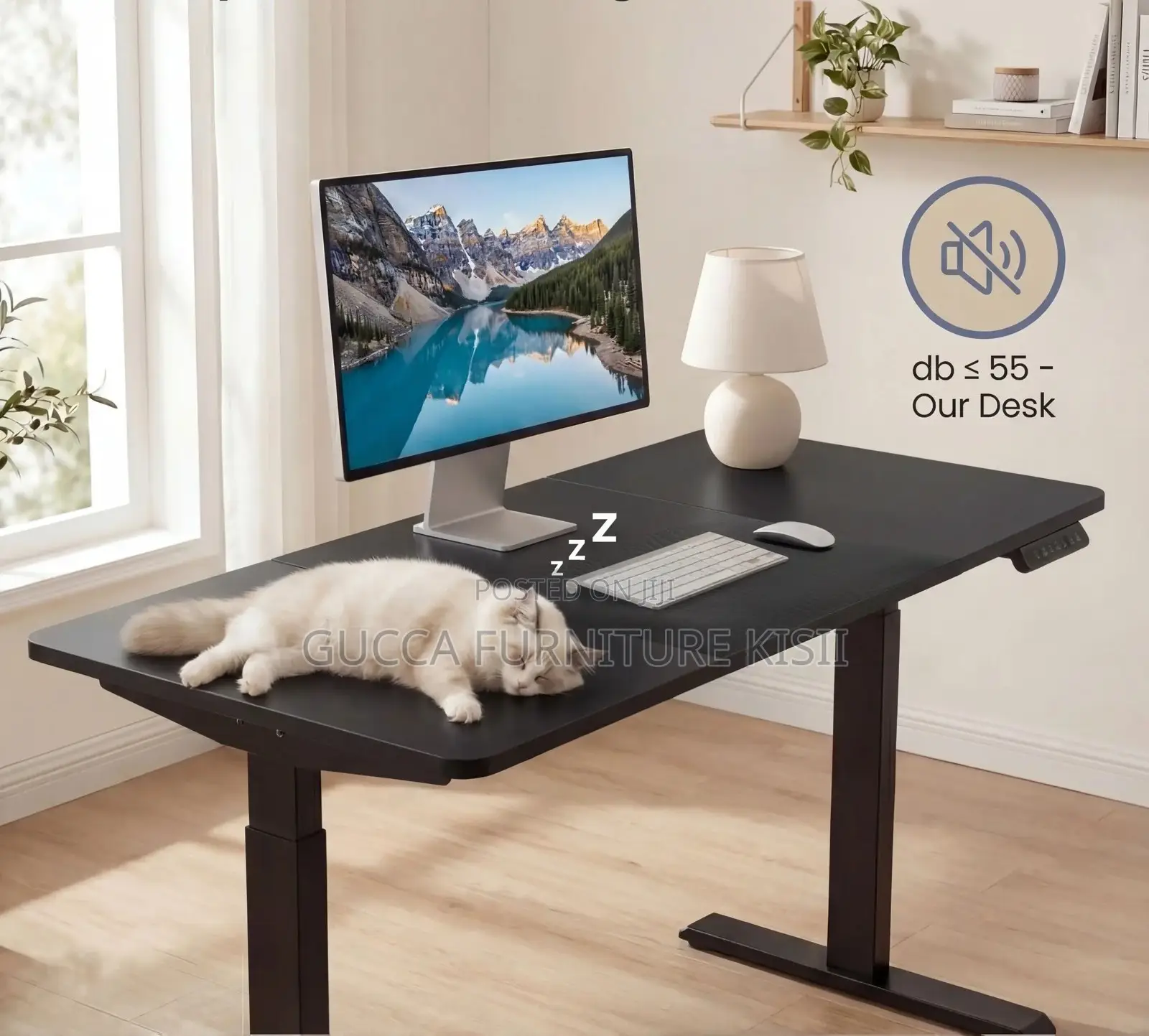 Black Home Office Sit Stand Electric 120cm Table