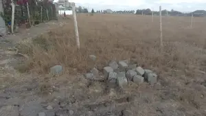 Plot for Sale