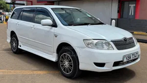 Toyota Corolla Fielder 2006 White
