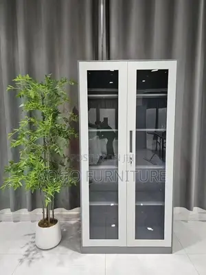 Steel Cabinet; 2-Door Full Glass Steel Cabinet