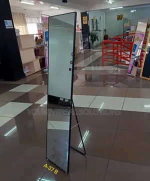 Executive Tall Dressing Mirror