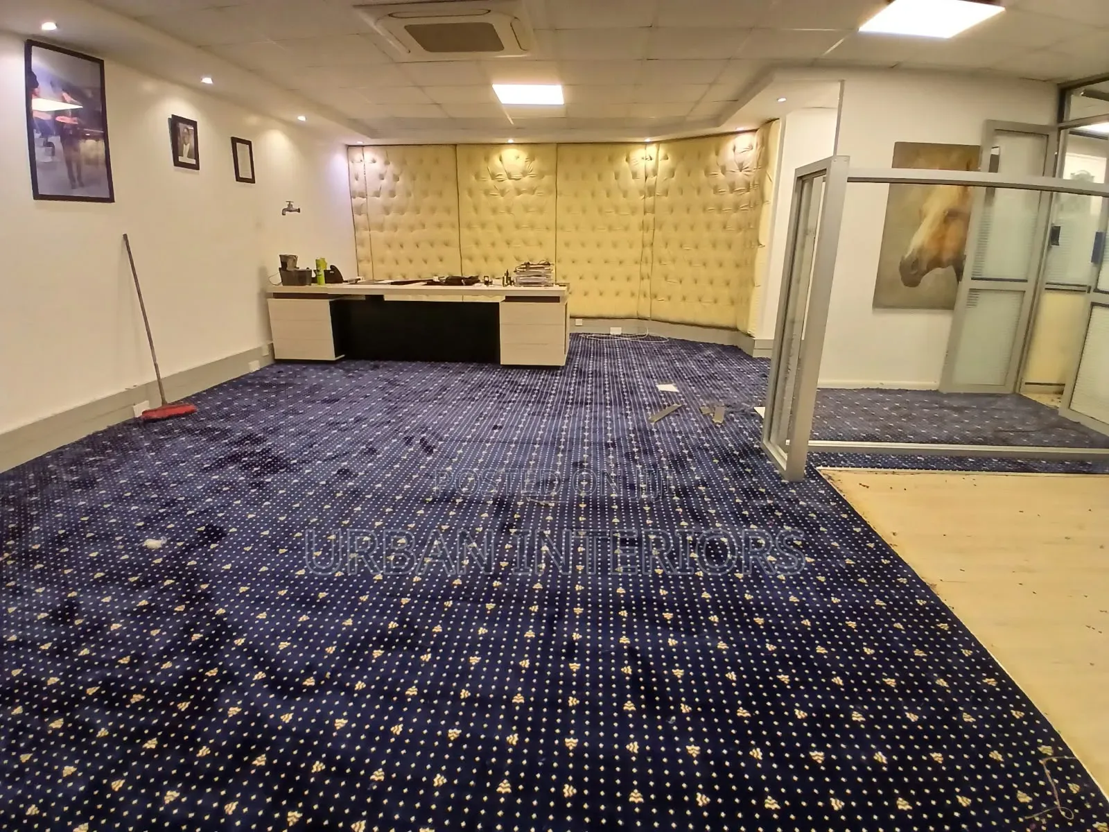 Blue Dotted Executive Carpet Blue Dotted Executive Carpet