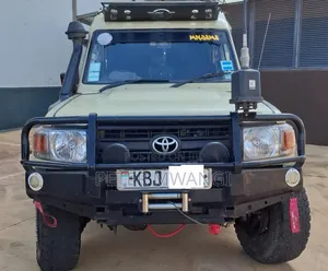Toyota Land Cruiser 2009 Gray