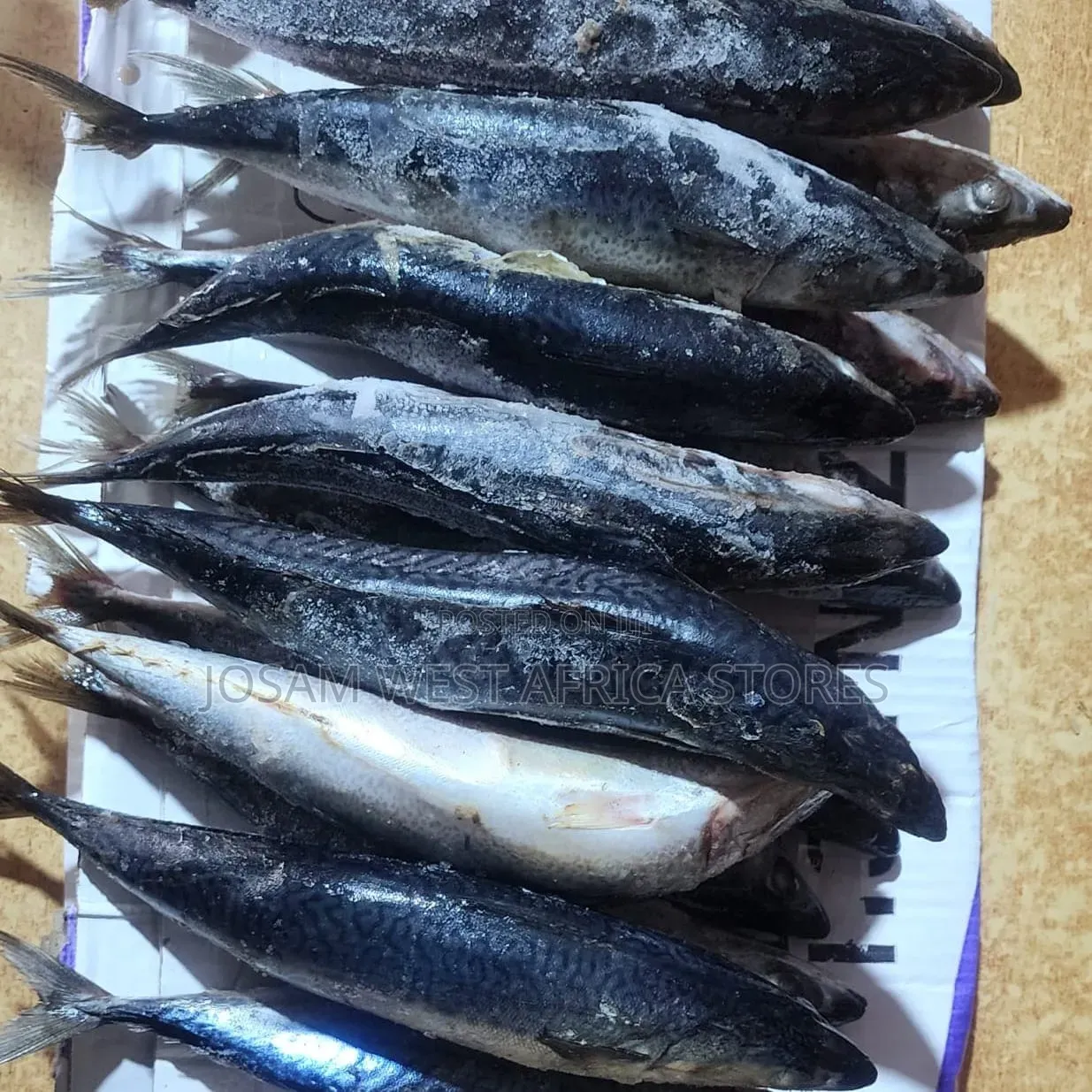 Titus,ice/Mackerel Fish