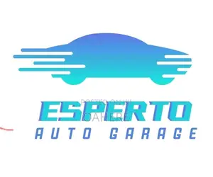Diagnosis and Repair Services