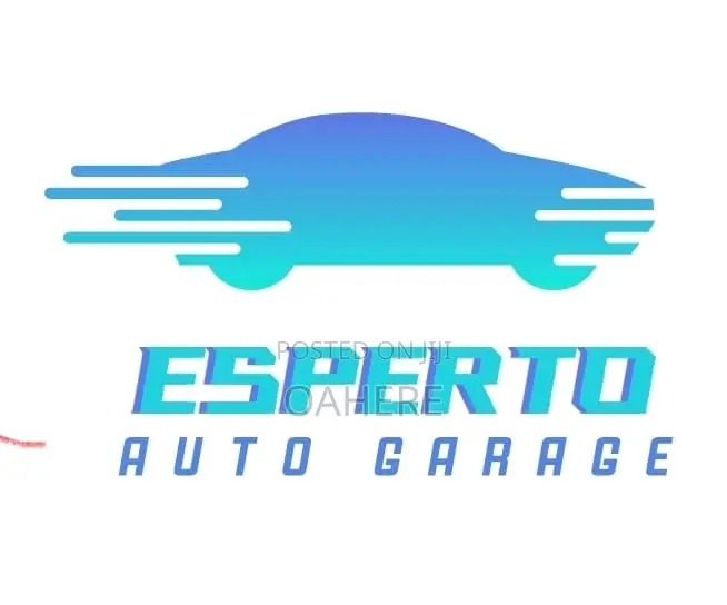 Diagnosis and Repair Services