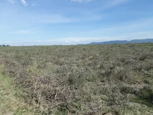 Community Rd Syokimau 3 Parcels of 50 by 100 Combined in a Court