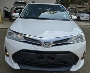 Toyota Corolla Fielder 2019 White