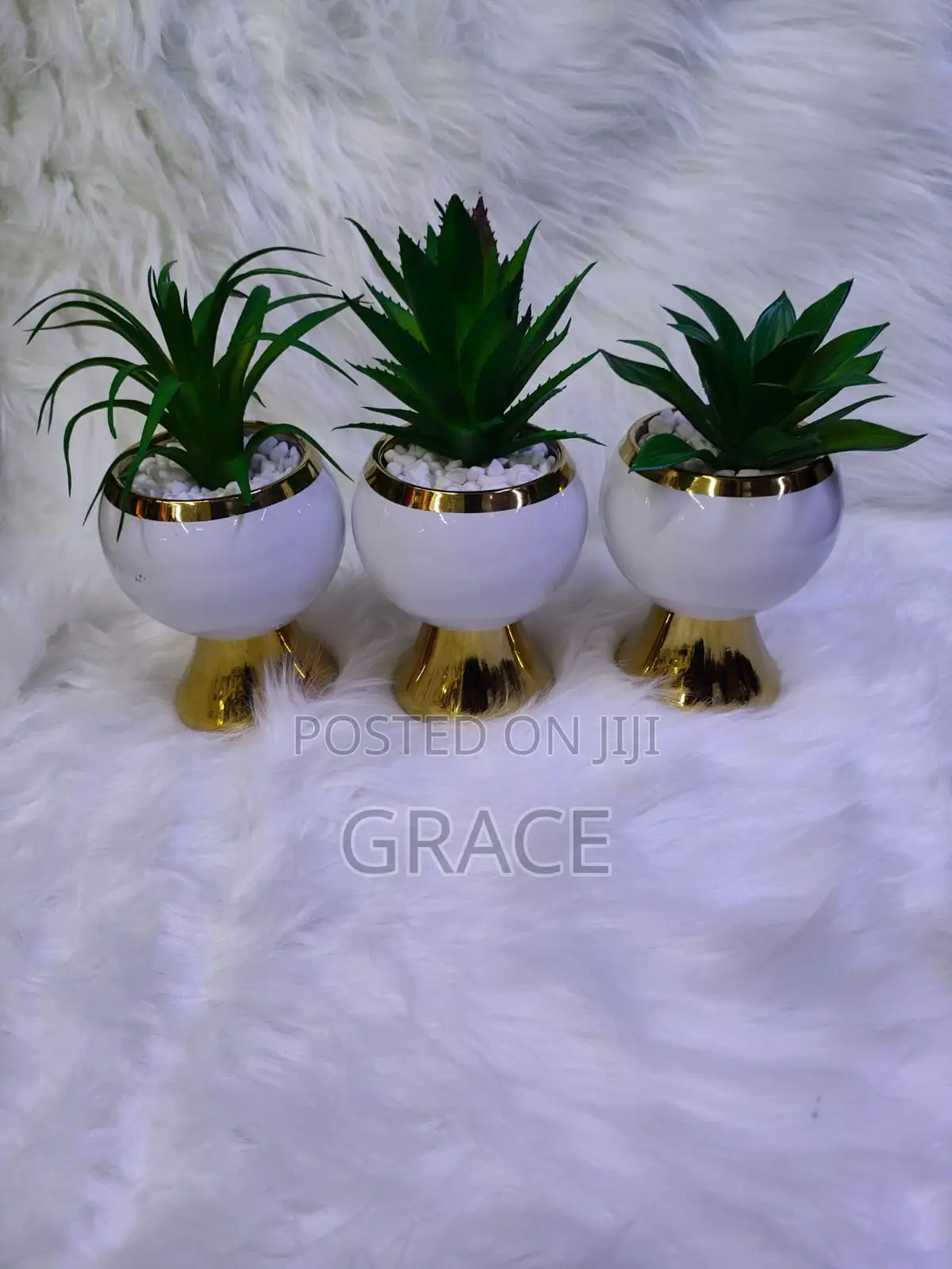 Ceramic Succulent