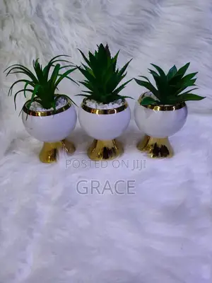 Ceramic Succulent