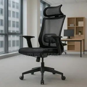 Executive Ergonomic Office Chair