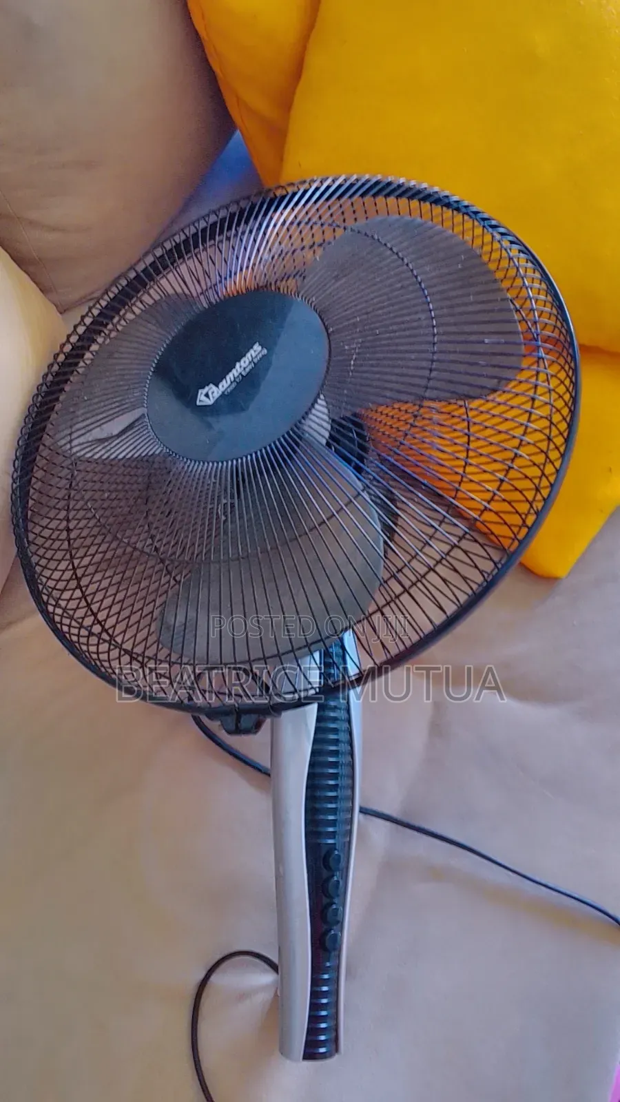 Ceiling and Wall Fan