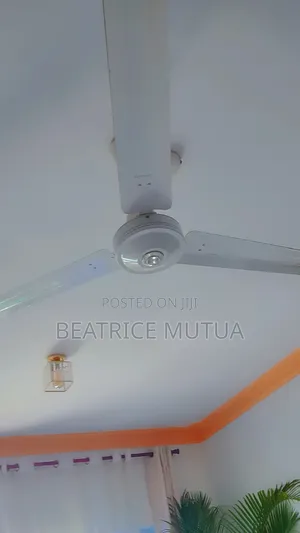 Ceiling and Wall Fan