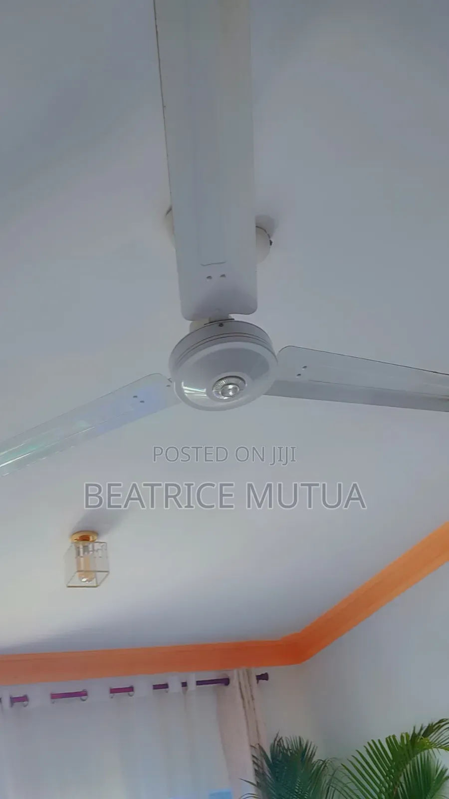 Ceiling and Wall Fan
