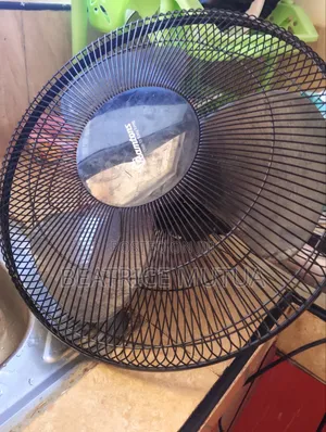Ceiling and Wall Fan