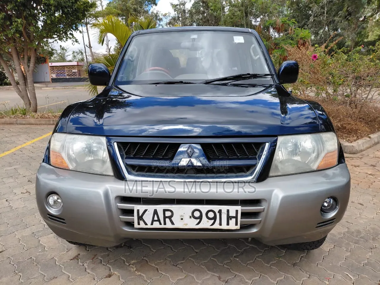 Mitsubishi Pajero 2003 Blue
