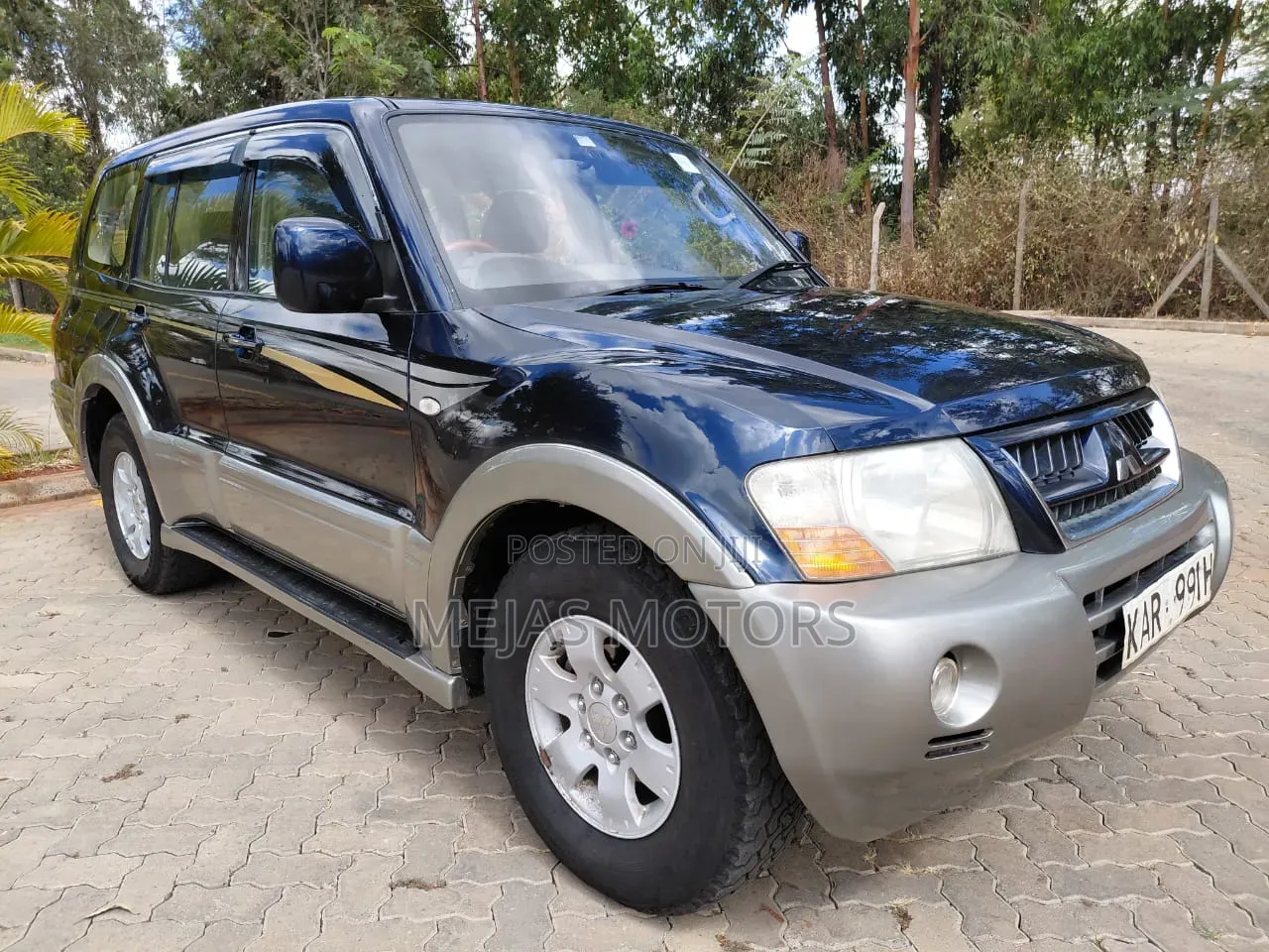 Mitsubishi Pajero 2003 Blue