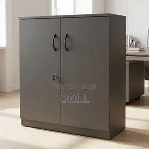 Two-Door Office Storage Cabinet for Business and Document Filing