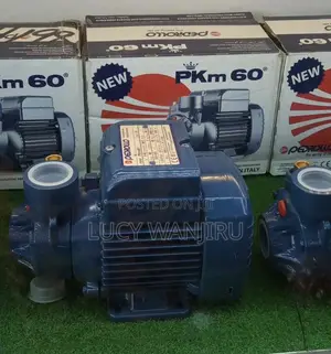 Original Pedrollo Water Pump 0.5HP / Pedrollo Booster Pump Pkm60