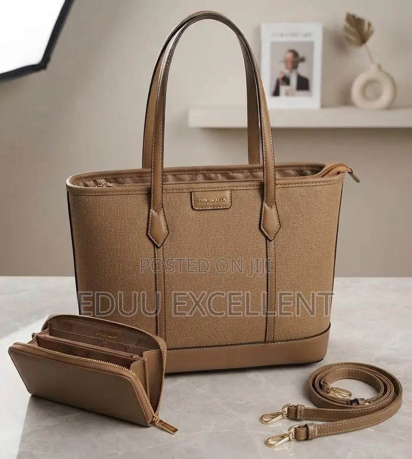 Latest Ladies Handbag