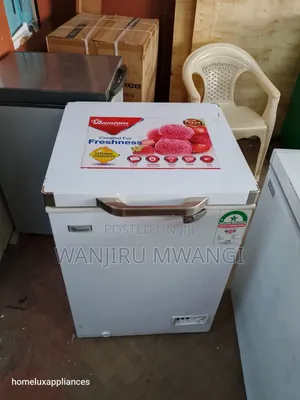 Ramtons Deep Freezer (Good as New)