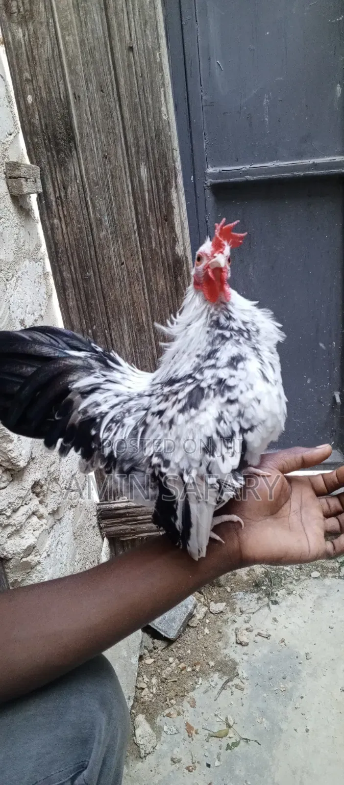 Serema Chicken