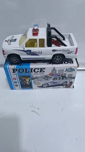 police Pick Car