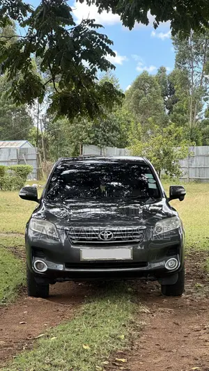 Toyota Vanguard 2009 Gray