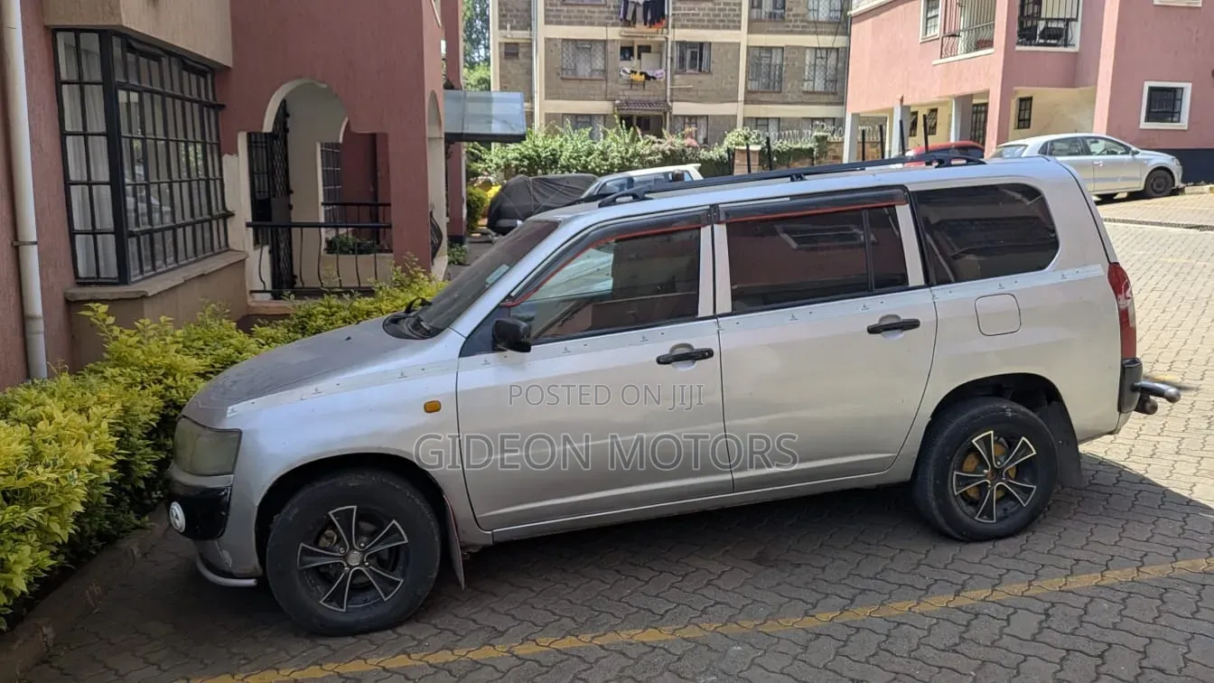 Toyota Probox 2008 Silver