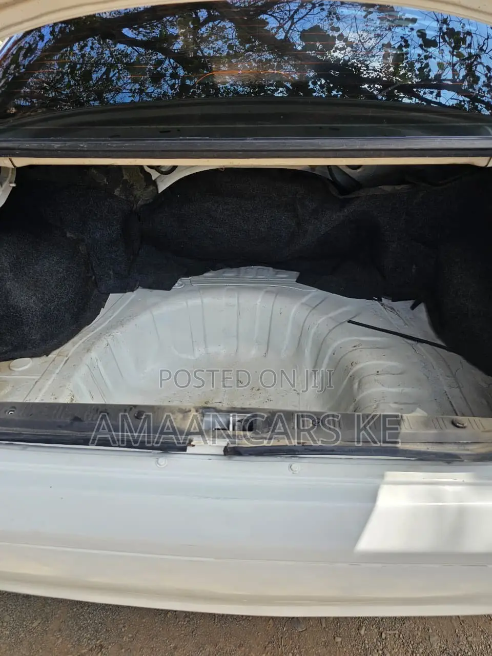 Nissan Sunny 2003 White