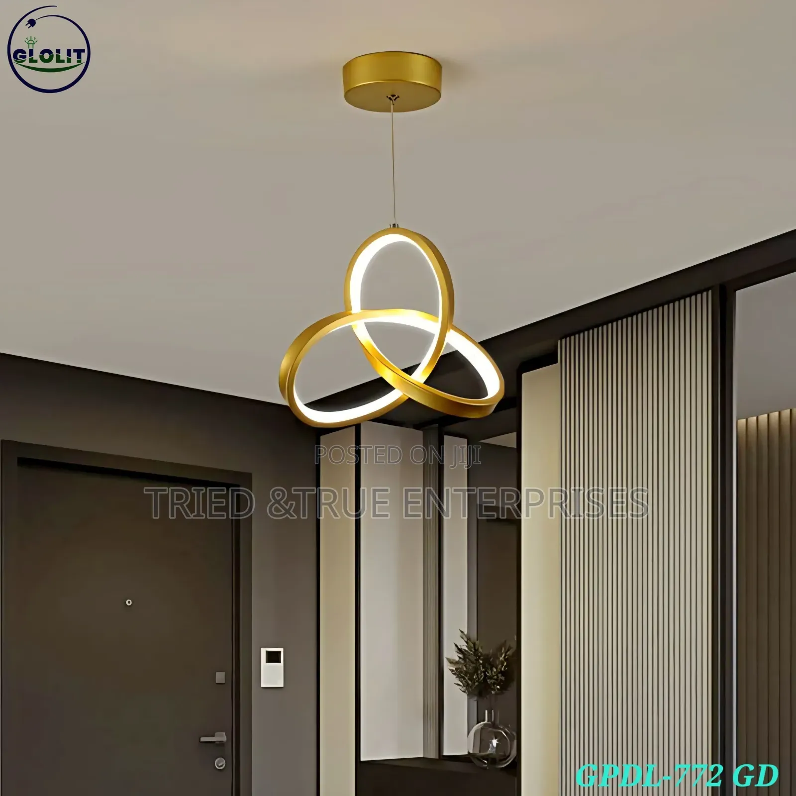 Modern Led Loop Pendant Lights