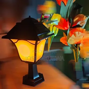 Solar Garden Lights