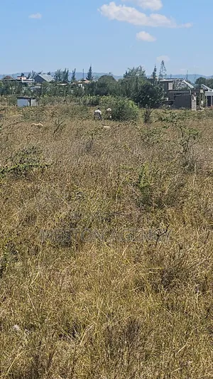  Affordable 50x100 Plot in Malaa Quick Sale